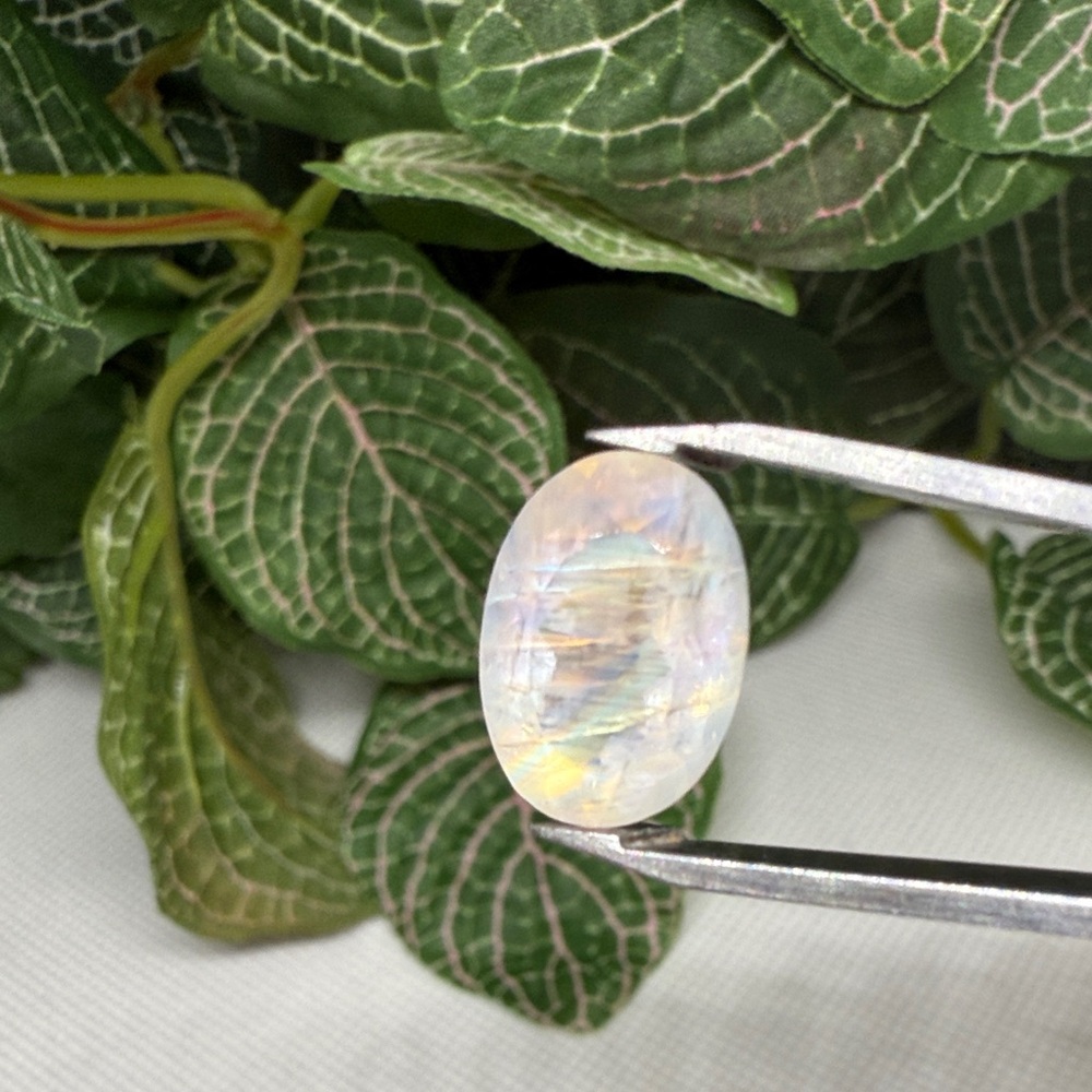 Rainbow Moonstone Oval